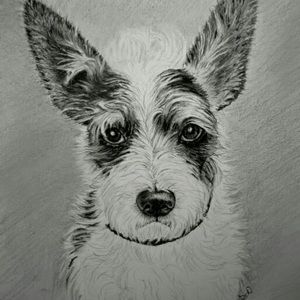 Meet your Posher, Maureen